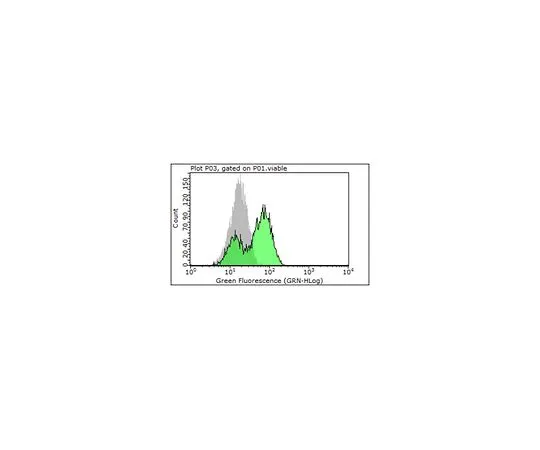 62-8501-93　抗PSMA,克隆3/A12　MABC291