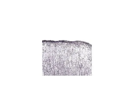 62-8491-35　抗少突胶质细胞，克隆NS-1;100μL　MAB1580