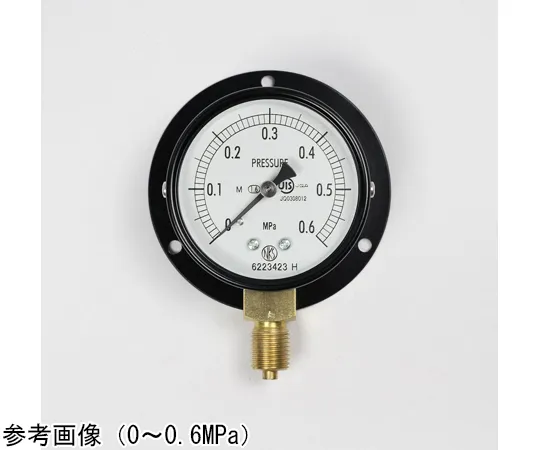 65-4270-40　Normal Pressure Gauge (Φ60) Vertical B Frame for Steam 0.6 MPa　AA10-221