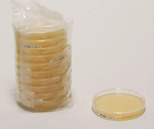 61-0190-61　Sabouraud Dextrose Agar Acc. (签名) 。EP+USP-LI20mL (20) 146236 20PACK　1.46236.0020
