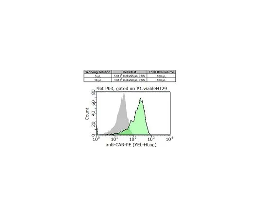 62-8485-38　MilliMark (TM) Anti-CAR-PE,克隆RmcB　FCMAB418PE-I