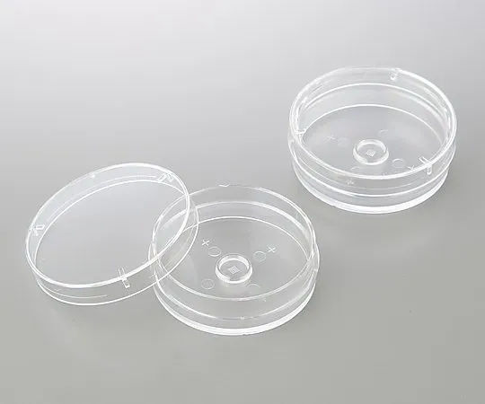 1-3917-01　［已停用］个体经营栽培菜肴