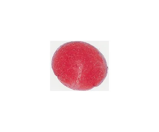 62-8534-33　Safranin-O染色液　TMS-009-C