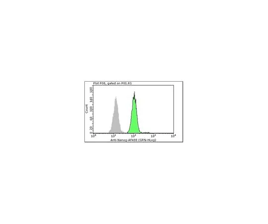 62-8483-44　Milli-Mark (TM) Anti-Nanog-AlexaFluor 488, N末端;100个测试　FCABS352A4