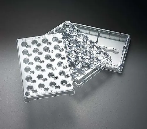 61-0194-11　Millicell-24细胞培养板， PET 1.0μm 1/ Pk1PK　PSRP010R1