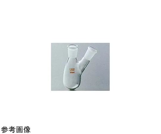 65-6814-83　Two-necked Eggplant Flask 25 mL 15/25　1534-01-1