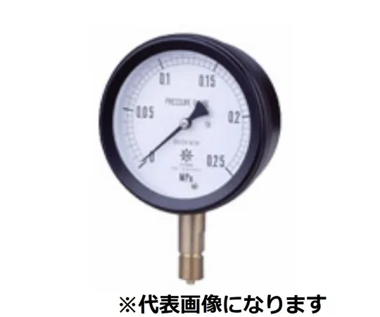 65-3637-70　MPP Plastic Sealed Pressure Gauge Core Section SUS B Type φ100 R1/2 0~0.06MPA　S-BUR12-1000.06MPA
