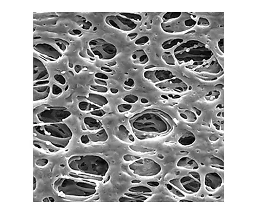 61-0194-53　Millipore Express PLUS Disc PES Philic 0.45μm 13 mm 100/Pk100PK　HPWP01300