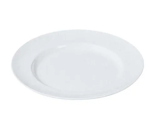 61-6839-70　Melamine School Dish Flat Plate Rim Type No. 24 10 inch White　2451900
