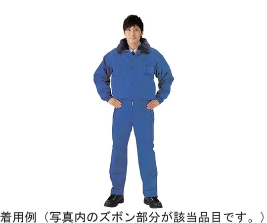 65-0296-89 Cold Protection Wear for Freezer Work Pants M Size CWWB2M