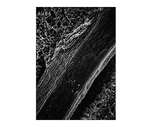 61-0192-53　强化磁碟MCE 0.5μm纤维素Web 47 mm 100/Pk100PK　RW0604700