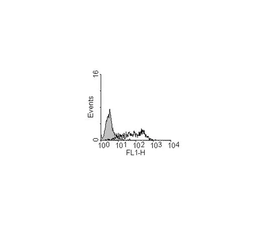 62-8496-98　抗上皮细胞粘附分子，克隆mAb 8;100μg　MAB4444