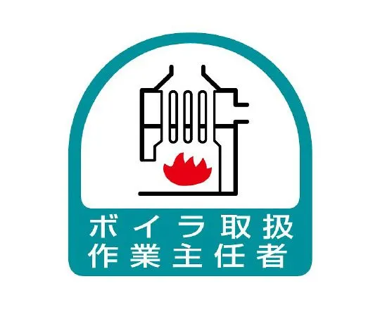 62-6145-47 Operations Chief of Helmet Sticker Boiler 851-25