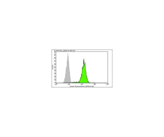 62-8479-92　抗CD34II类，克隆QBEND/10, FITC共轭;100次检测　CBL496F