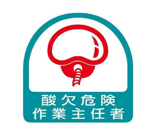 62-6109-97 Helmet Sticker, Operations Chief of X-Ray 851-32