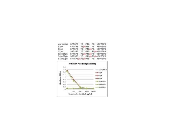 62-8507-77　抗磷RNA Pol II (Ser5) ，克隆1H4B6　MABE954