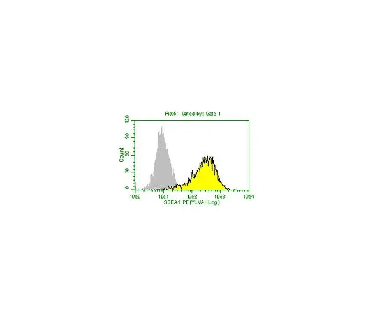 62-8483-97　抗SSEA-1,克隆MC-480PE共轭;100次测试　FCMAB117P