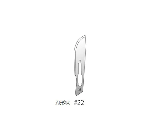 3-9816-07　一次性手术刀10个　#22
