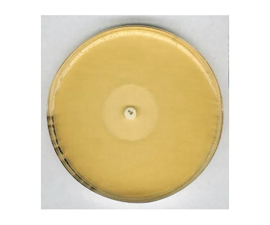 61-0201-15　微生物用抗生素琼脂11号(GROND和RANDALL中号11) 105269 500G　1.05269.0500
