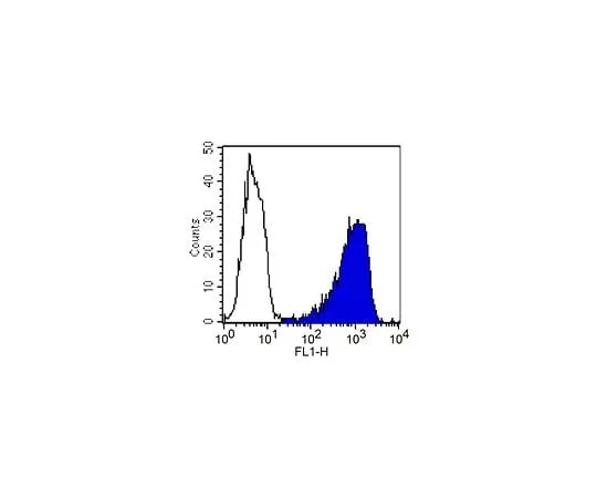 62-8491-02　抗Thy-1.1,克隆OX-7;100μg　MAB1406