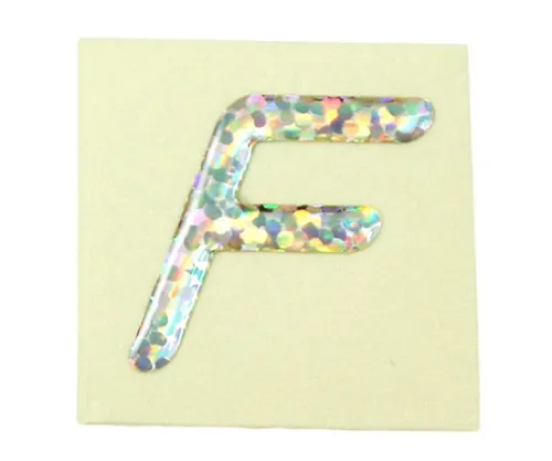 61-7444-06 全息字元F FM20-F