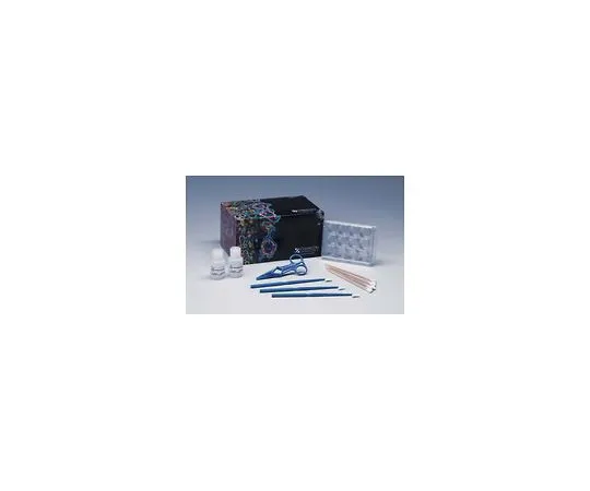 62-8482-16　伪足净化试剂盒;1个套件　ECM660