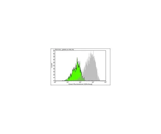 62-8483-85　MilliMarkAnti-BrdU,克隆BU-1Alexa Fluor (R) 488共轭;100次测试　FCMAB101A4