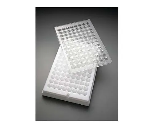 61-0203-49　多屏IP 0.45μm清除无暗漏非无菌10/Pk10PK　MAIPNTR10