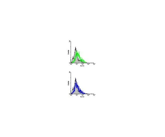 62-8494-05　抗整合素β7,克隆TN114;100μg　MAB2638