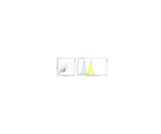 62-8490-96　抗PECAM-1 (CD31) 抗体，克隆TLD-3A12　MAB1393-I