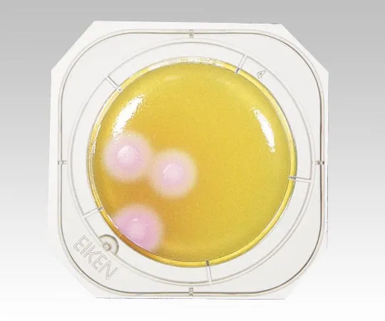 2-6430-06　［已停用］牵牛花10树琼脂培养基　PT2810
