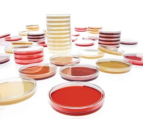 61-0199-31　Sabouraud-Dextros-Agar-LI认证。Ep (120) 146028 120Pcs　1.46028.0120
