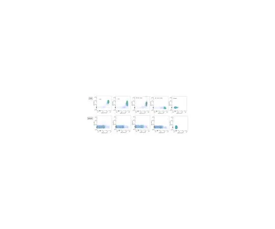 62-8518-79　抗CD39抗体，克隆5E12　MABN645