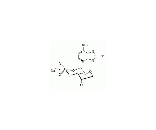 62-8410-26　8-Bromo-cAMP,钠盐　203800-10MG