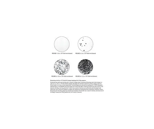 62-8401-35　T7Select (R) Biopanning Kit　70018-3