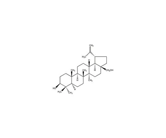 62-8439-19　SREBP处理抑制剂，桦皮素　569371-250MG