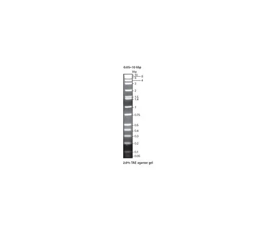 62-8401-84　完美的DNA (TM) 标记，0.05~10kbp　70540-3