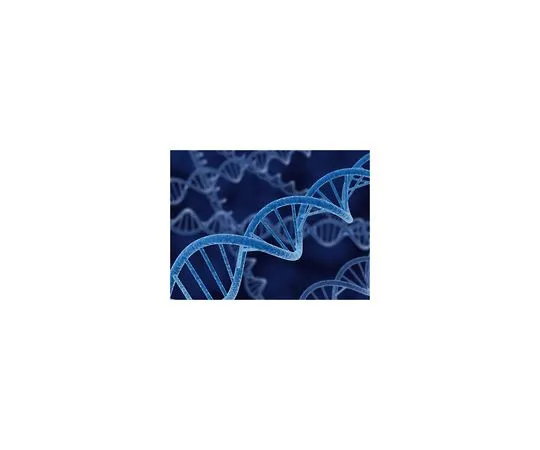 62-8400-99　pET-25b (+) DNA　69753-3