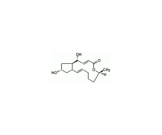 62-8410-14　(+) 布雷夫尔丁A,欧培尼illiumbrefeldianum　203729-1MG