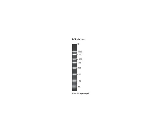62-8400-41　PCR标记，50-2000bp　69278-3