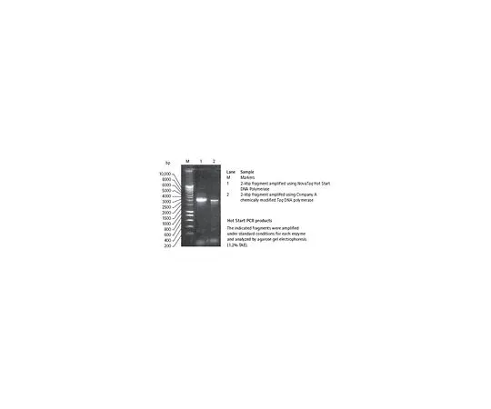 62-8403-27　NovaTaq (TM) 热启动DNA聚合酶　71091-4