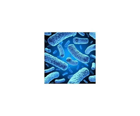 62-8404-27　Rosetta-gami (TM) 2 (DE3) pLysS适用细胞　71352-4