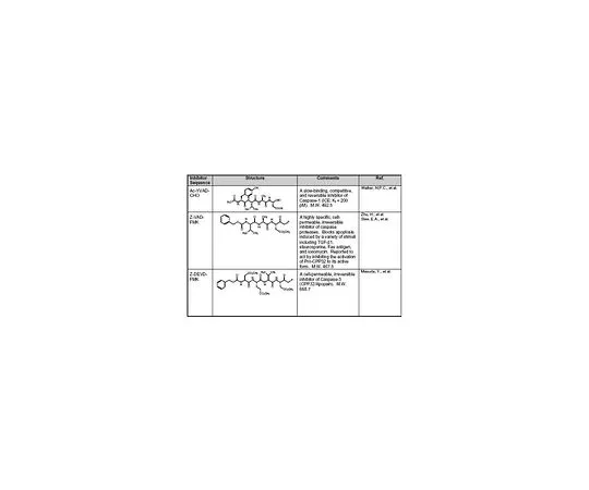 62-8414-82　胱天蛋白酶抑制剂I组　235429-1SET
