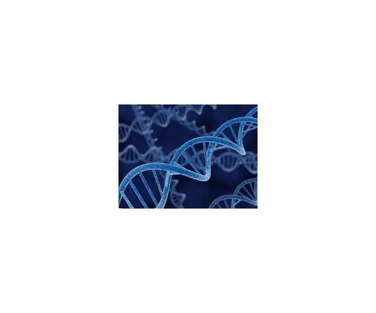 62-8400-90　pET-21c (+) DNA　69742-3