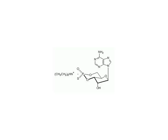 62-8406-13　cAMPS,Rp-Isomer, TEA盐　116814-5UMOL