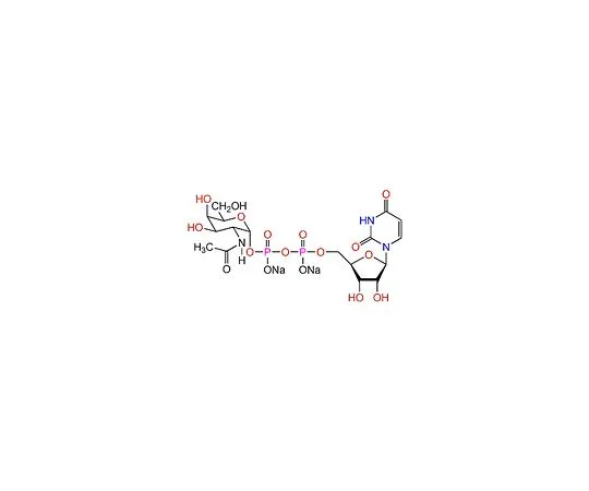 62-8442-90　UDP-α-D-N-乙酰半乳糖胺，二钠盐　670105-5MG