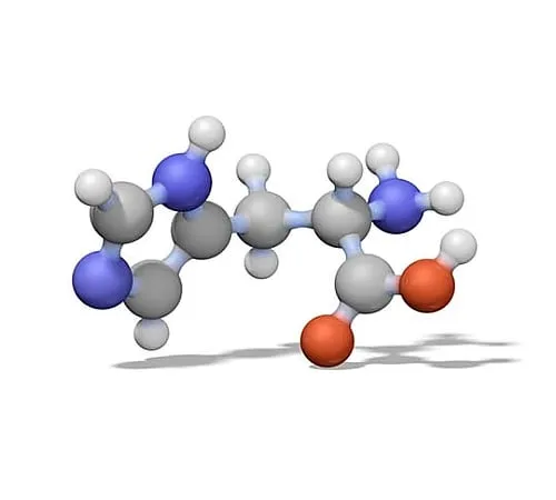 61-0318-53　Purospher (R) STARRP-18Endcapped (3μm) Hibar (R) RT125-3HPLC Column 150413 1ST　1.50413.0001