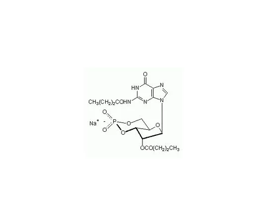 62-8421-24　鸟苷，3'，5'环状单磷酸盐，N2,2'-O-二丁基-，　370660-10MG