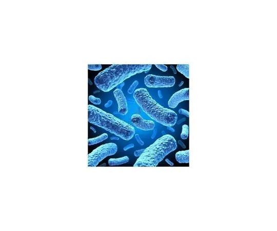 62-8401-74　BL21 (DE3) Single (TM) Competent Cells　70235-3