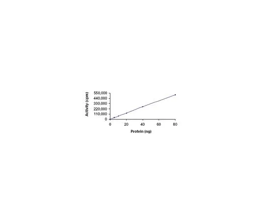 62-8407-71　AMPK (α2/β1/γ1) ，他的序列 (R) ，人，重组，S.frugiperda　171539-5UG